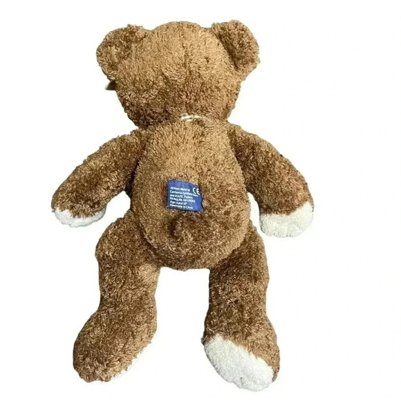 March of Dimes Bean Bag for Babies Vintage 2003 Brown Teddy Bear Plush - Picture 2 of 12